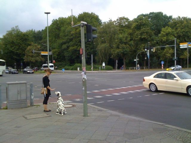 A Girl And Her Dog