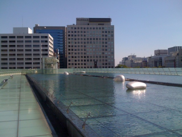 A Roof Full of Water