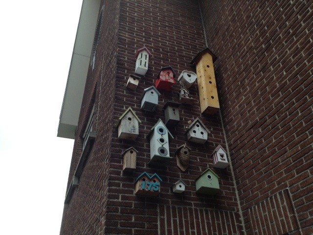 Birdhouse