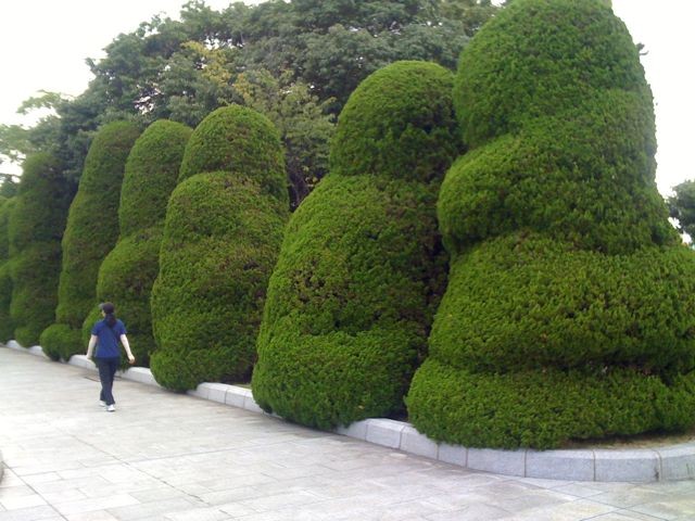 Blobby Bushes