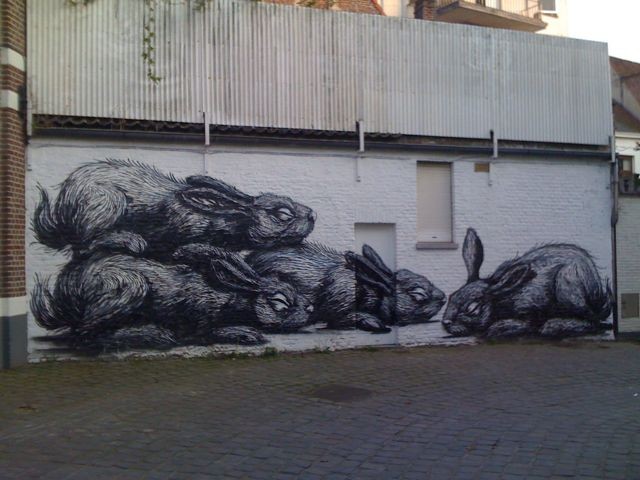 Bunnies