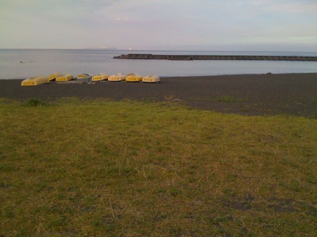 Grass on the Beach