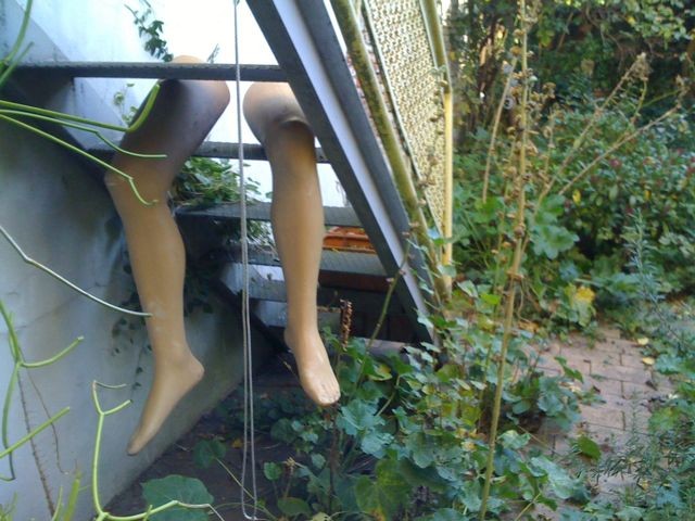 Legs