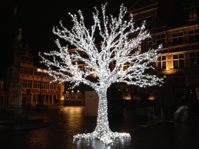 Let There be Tree at Night