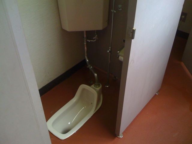 Oldskool Japanese Toilet