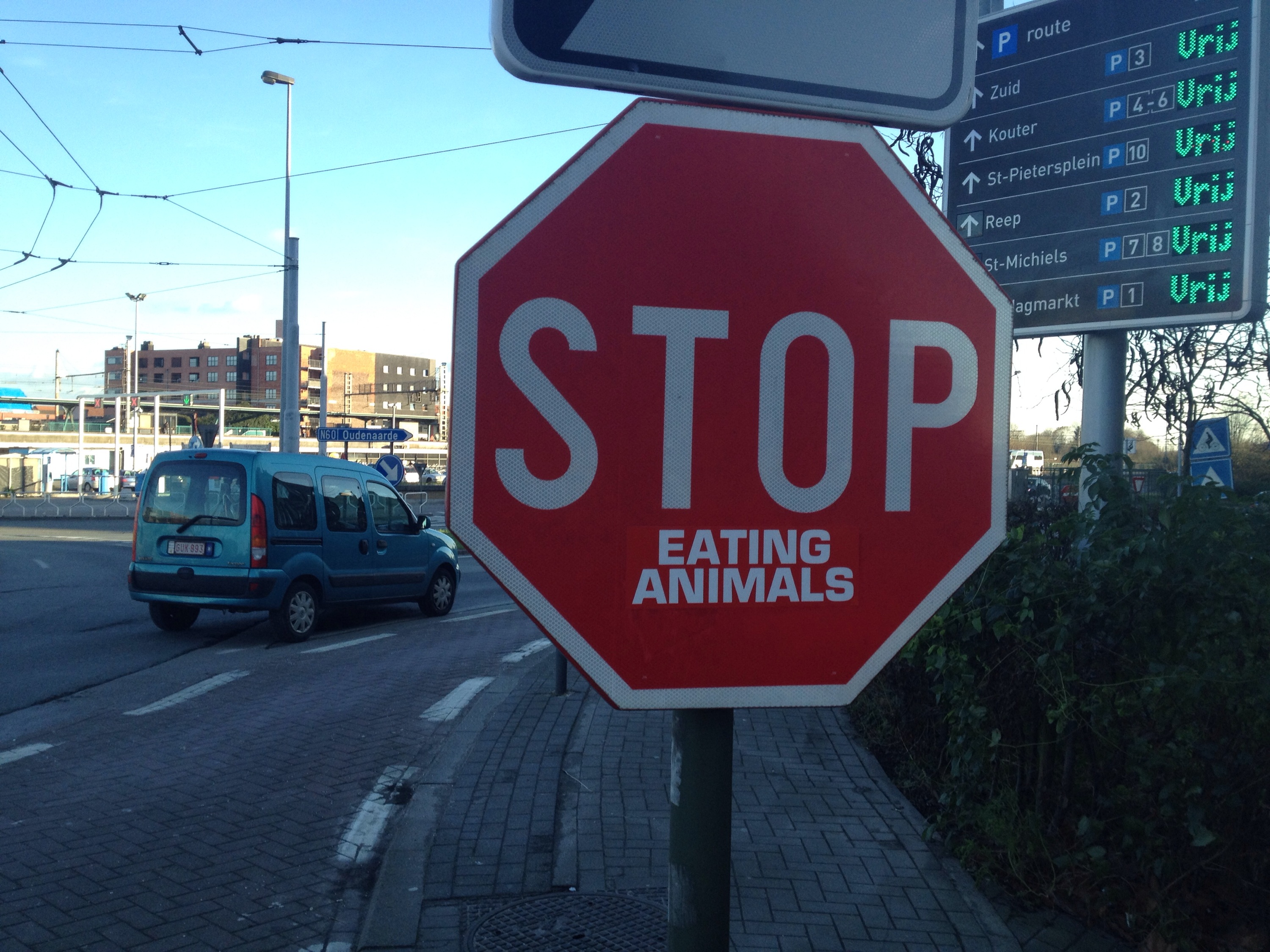 Stop Eating Animals