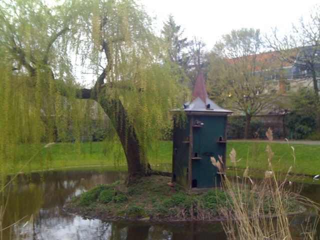 The Birdhouse on the Island