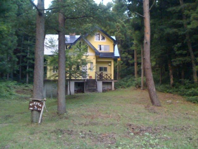 The Yellow House in the Forest